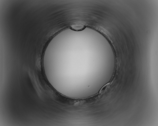 X0000089390345200706291338