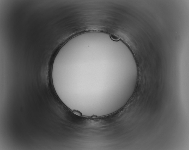 X0000089390346200706291338