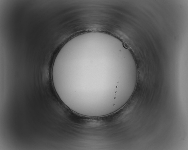 X0000089390347200706291338