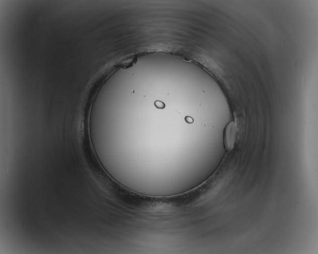 X0000089390348200706291338