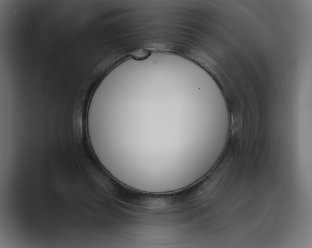 X0000089390349200706291338