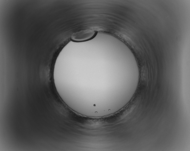 X0000089390351200706291339