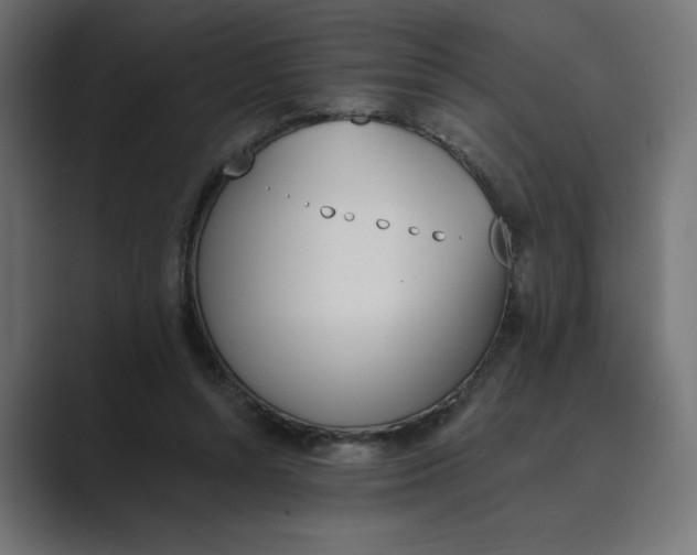 X0000089390352200706291339