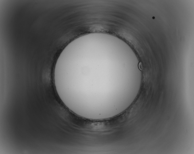 X0000089390353200706291339