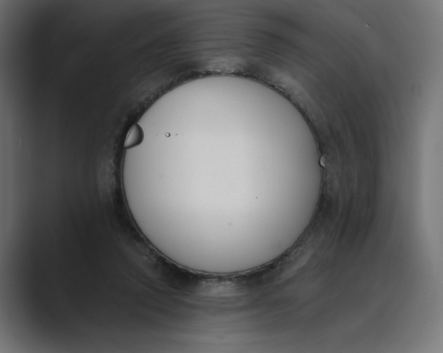 X0000089390354200706291339