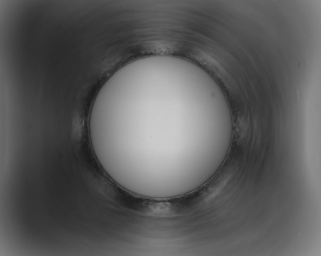 X0000089390355200706291339