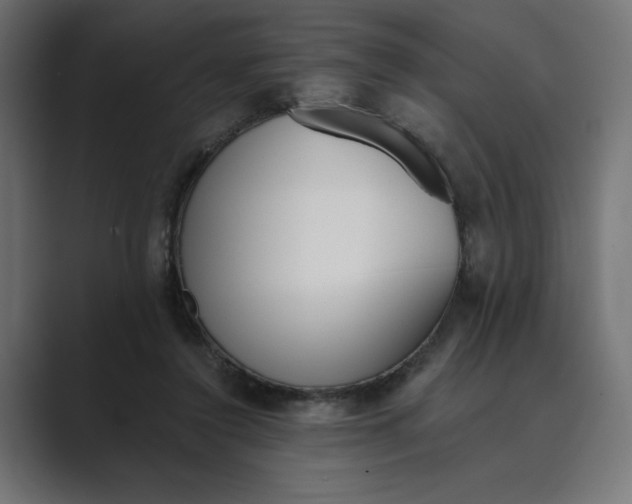 X0000089390356200706291339