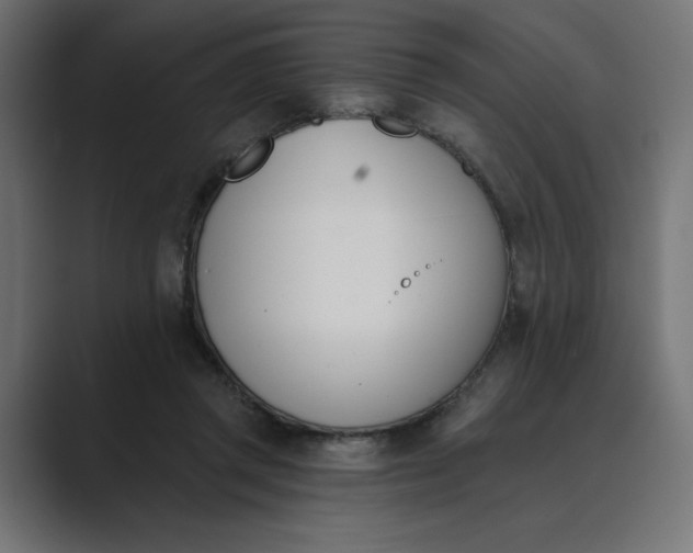 X0000089390357200706291339