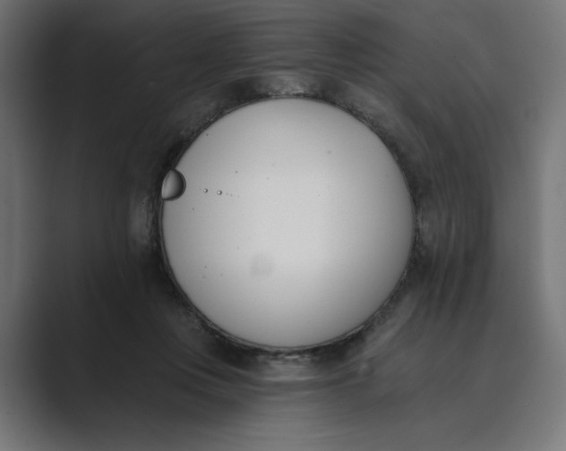 X0000089390359200706291339