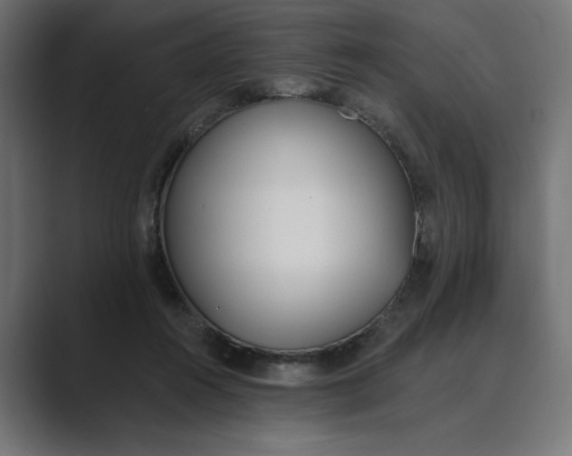 X0000089390360200706291339