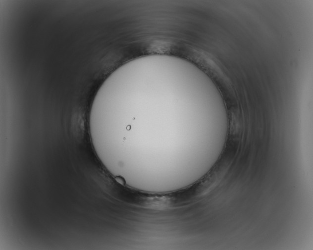 X0000089390363200706291339