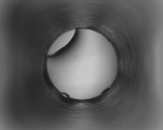 X0000089390364200706291339