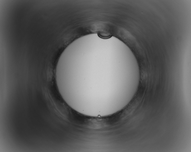 X0000089390367200706291339