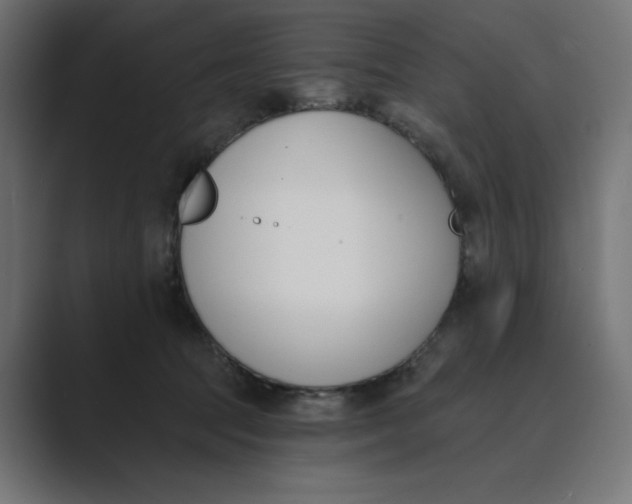 X0000089390369200706291339