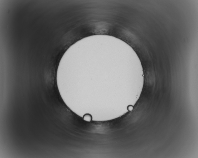 X0000089390370200706291339