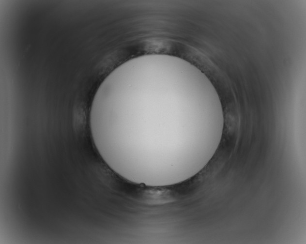 X0000089390375200706291339