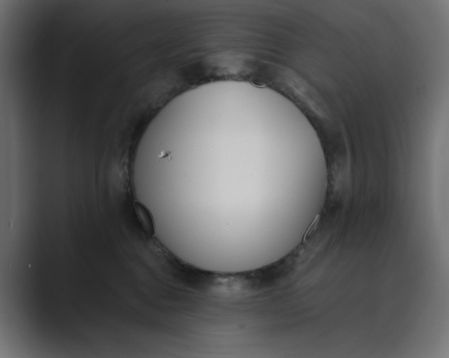 X0000089390376200706291339
