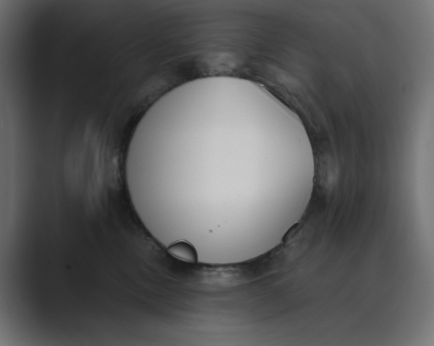 X0000089390378200706291339