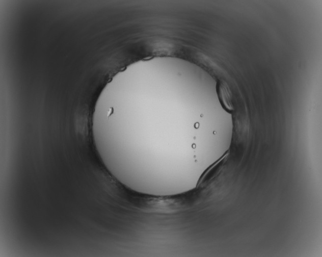 X0000089390379200706291339