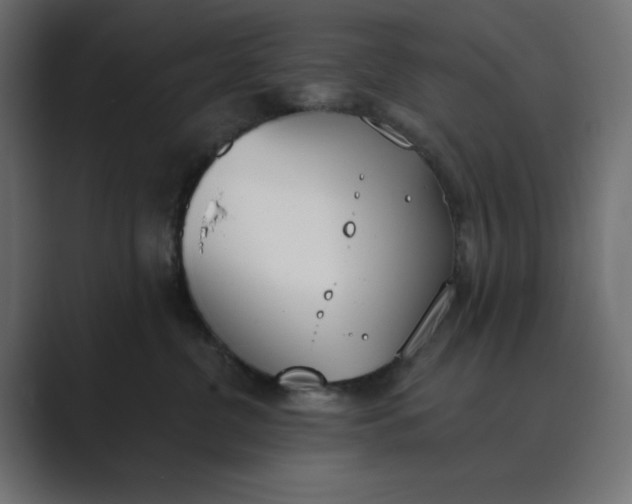 X0000089390380200706291339