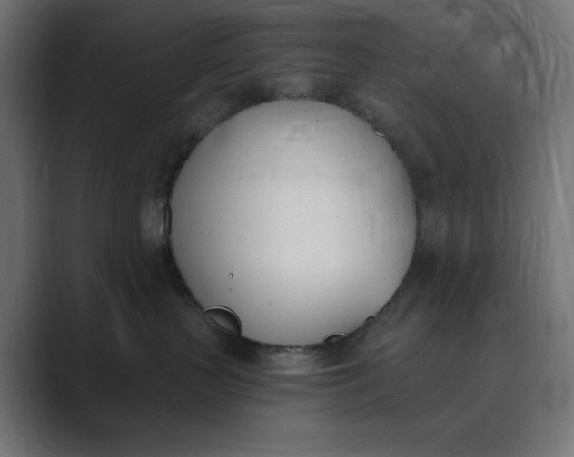 X0000089390383200706291339
