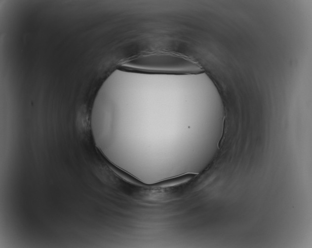 X0000089390384200706291339
