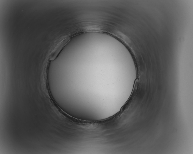 X0000089390385200706291338