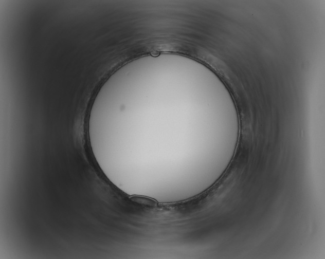 X0000089390386200706291338