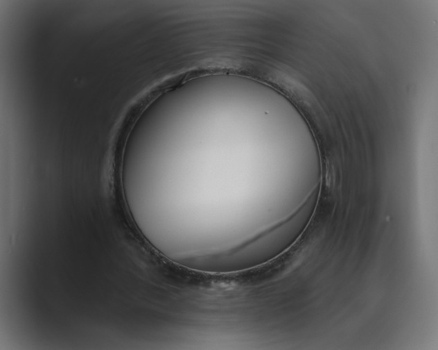 X0000089390388200706291338