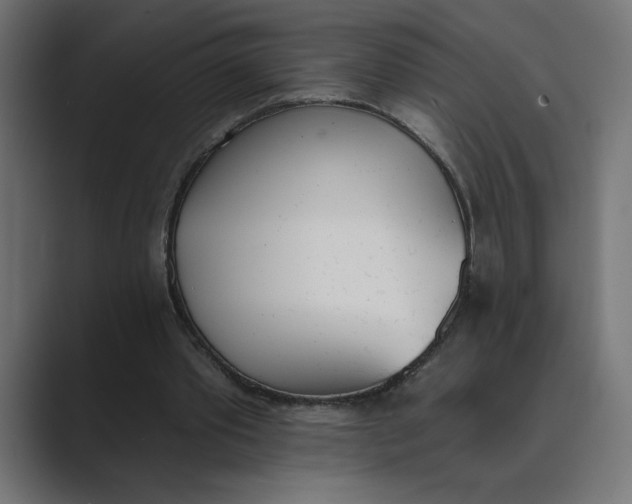 X0000089390389200706291338