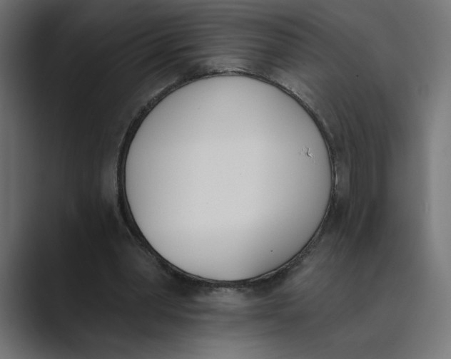 X0000089390390200706291338
