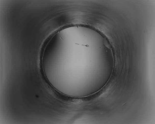 X0000089390391200706291338