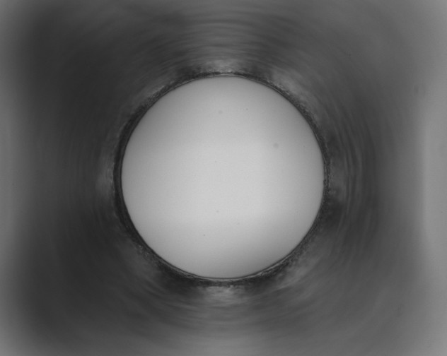 X0000089390394200706291338