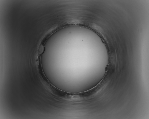 X0000089390395200706291338
