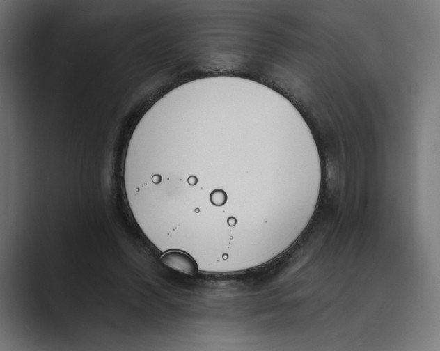 X0000089390396200706291338