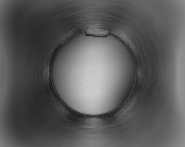X0000089390397200706291338