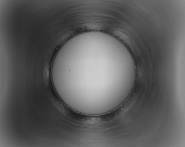 X0000089390398200706291338