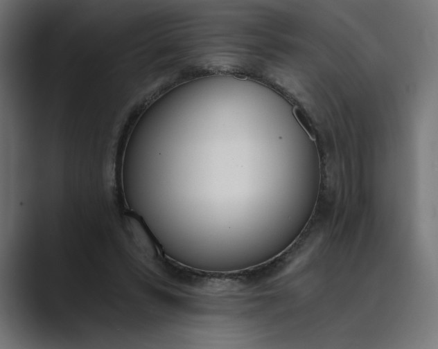 X0000089390399200706291338