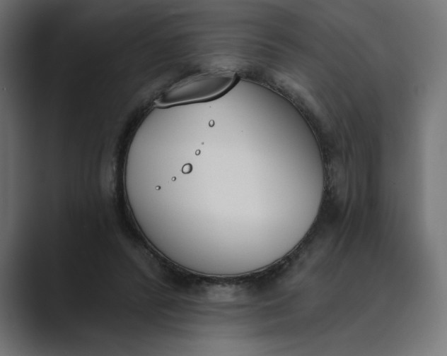 X0000089390400200706291338