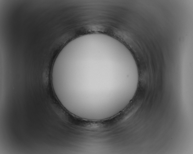 X0000089390402200706291338