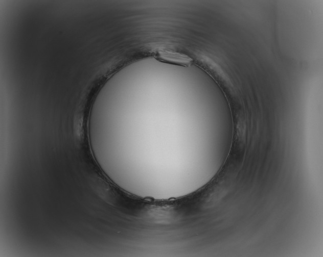 X0000089390403200706291338