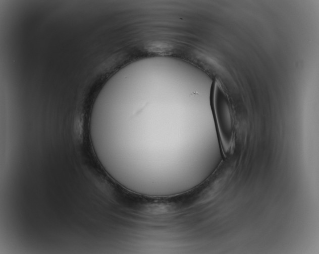 X0000089390404200706291338