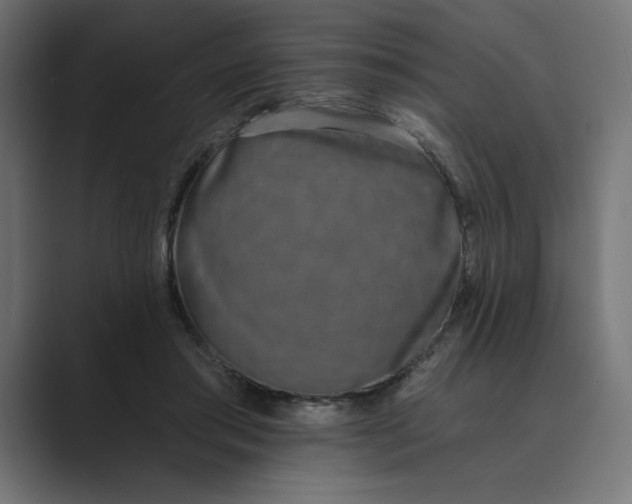 X0000089390405200706291338