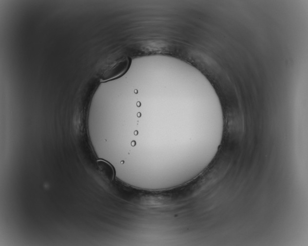 X0000089390408200706291338