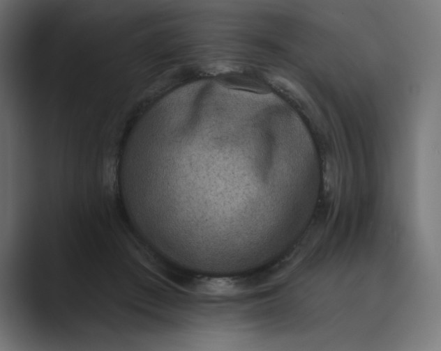 X0000089390409200706291338