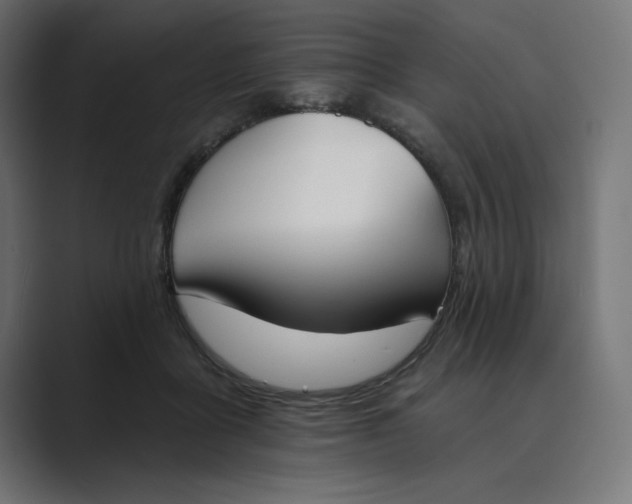 X0000089390411200706291338
