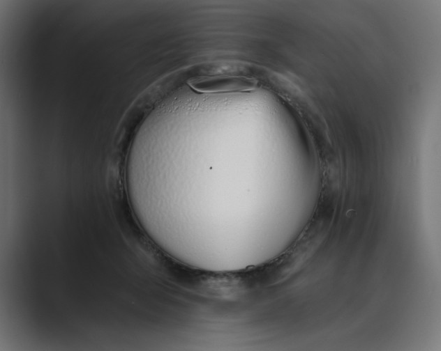 X0000089390415200706291338