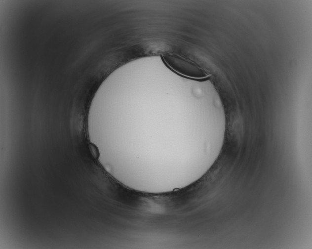 X0000089390417200706291338