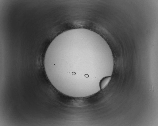 X0000089390418200706291338