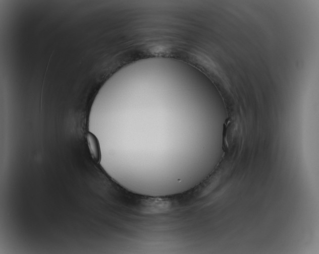 X0000089390421200706291338
